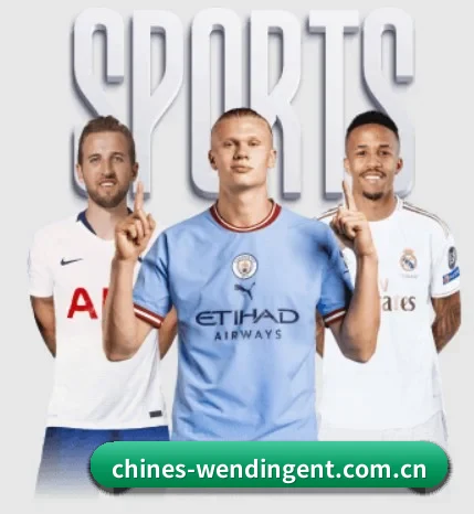 五个功能入口,赛程查询路径更短